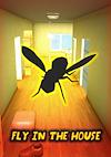 Cover image for the game Fly in the House
