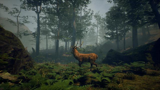 Image for the game Folklore Hunter