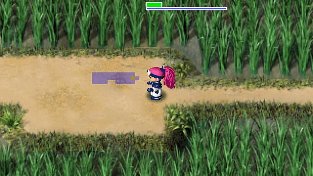 Image for the game Fushigi no Dungeon: Fuurai no Shiren Gaiden - Onna Kenshi Asuka Kenzan!