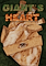 Cover image for the game Giant’s Heart
