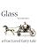 Cover image for the game Glass