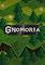 Cover image for the game Gnomoria