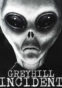 Cover image for the game Greyhill Incident