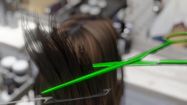 Image for the game Hairdresser Simulator