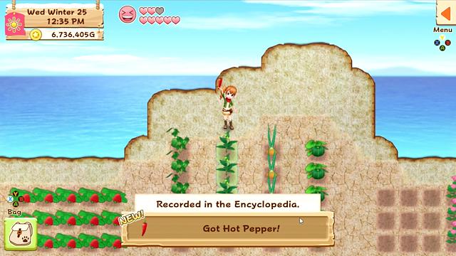Image for the game Harvest Moon: Light of Hope