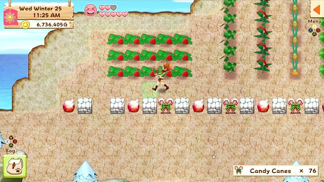 Image for the game Harvest Moon: Light of Hope