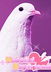Cover image for the game Hatoful Boyfriend