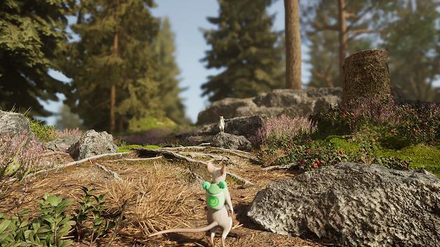 Image for the game Hela: Of Mice & Magic