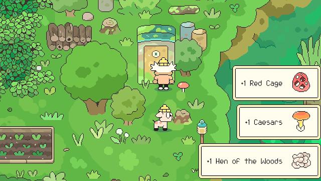 Image for the game Hermit and Pig