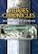 Cover image for the game Heroes Chronicles: Masters of the Elements
