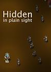 Cover image for the game Hidden in Plain Sight