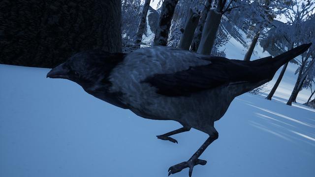 Image for the game Hiking Simulator 2018