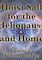 Cover image for the game Hoist Sail for the Heliopause and Home
