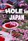 Cover image for the game Hole io: Japan DLC