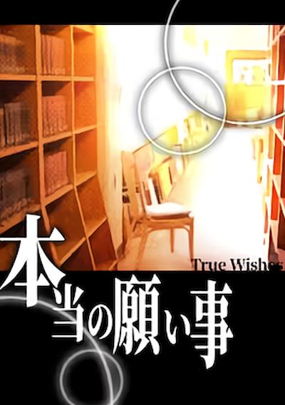 Cover image for the game Hontou no Negaigoto