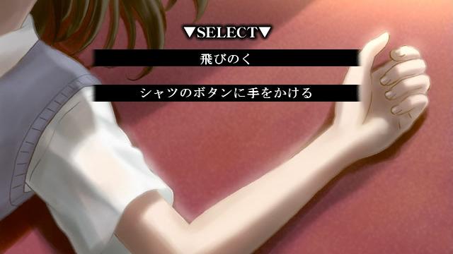 Image for the game Hontou no Negaigoto
