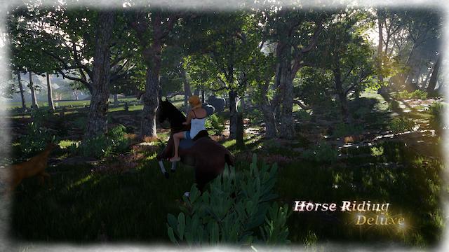 Image for the game Horse Riding Deluxe