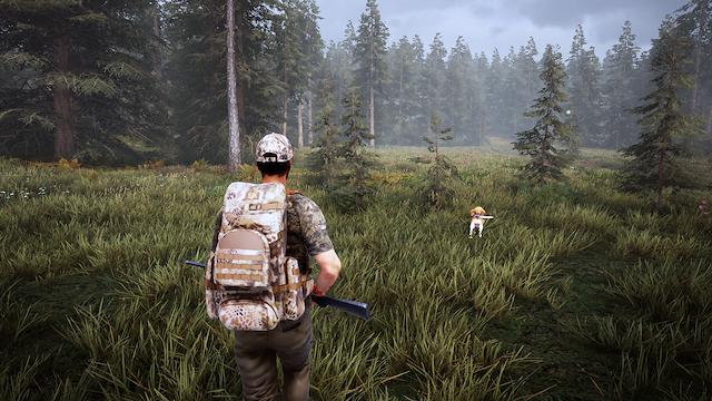 Image for the game Hunting Simulator 2