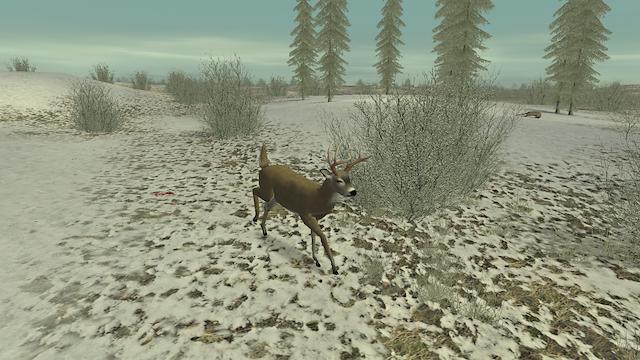 Image for the game Hunting Unlimited 2