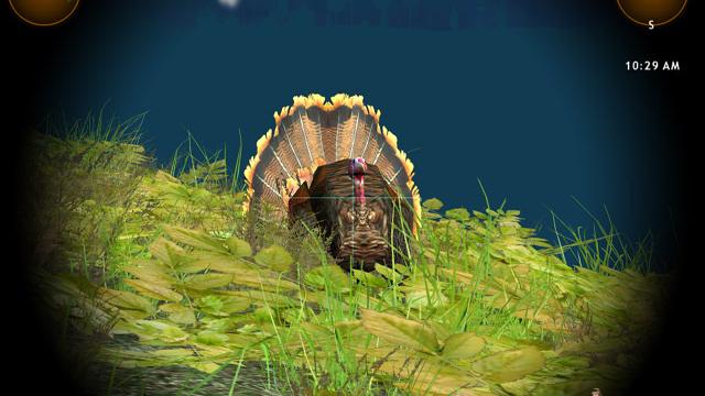 Image for the game Hunting Unlimited 2008