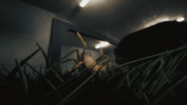 Image for the game Huntsman