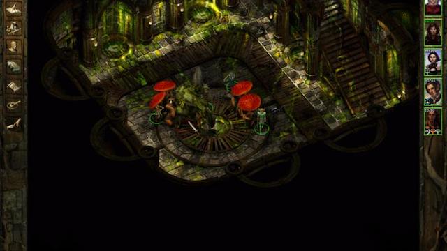 Image for the game Icewind Dale: Heart of Winter