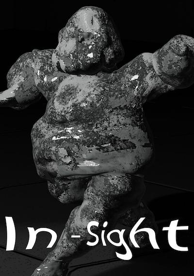 Cover image for the game In - Sight