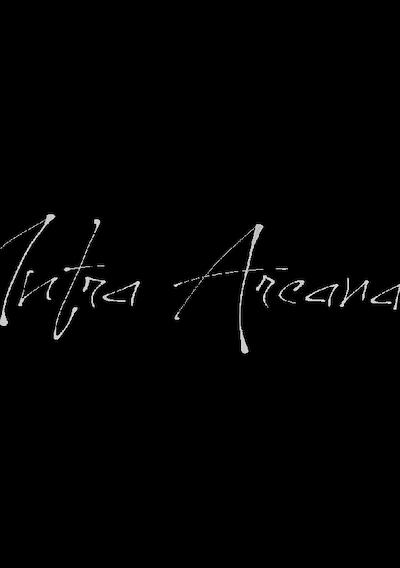 Cover image for the game Infra Arcana
