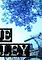 Cover image for the game Into Blue Valley