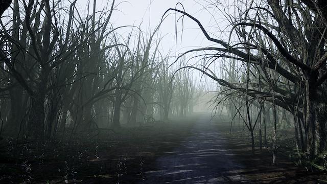 Image for the game Invisible