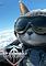 Cover image for the game Jet Combat: Cats vs. Dogs Military Simulator