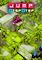 Cover image for the game Jump, Step, Step