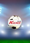 Cover image for the game Kicks Online