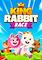 Cover image for the game King Rabbit: Race