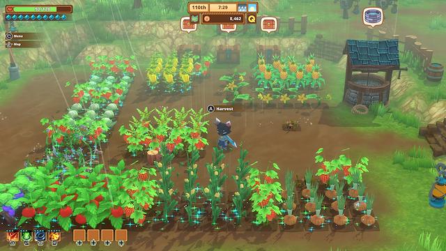Image for the game Kitaria Fables