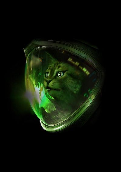 Cover image for the game Kitty: Isolation