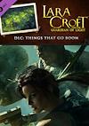 Cover image for the game Lara Croft and the Guardian of Light: Things that Go Boom - Challenge Pack 2