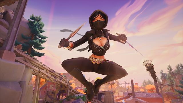 Image for the game Last Flag