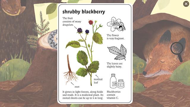Image for the game Little Mouse's Encyclopedia