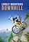 Cover image for the game Lonely Mountains: Downhill