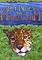 Cover image for the game Lost in the Amazon