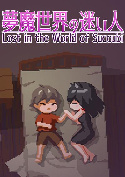Cover image for the game Lost in the World of Succubi