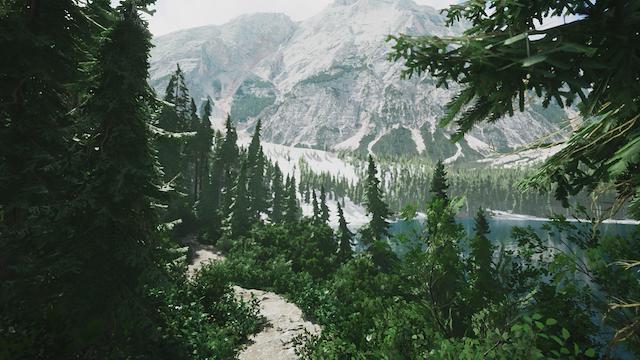 Image for the game Lushfoil Photography Sim