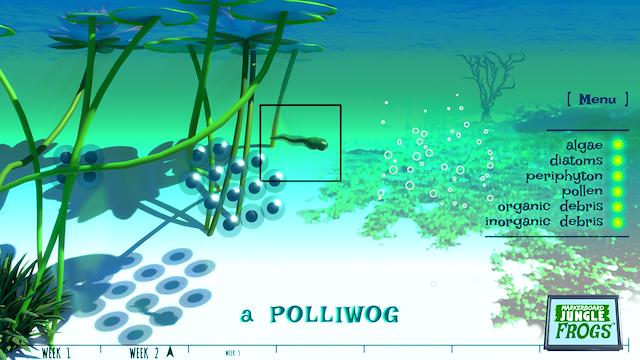 Image for the game Markerboard Jungle: Frogs