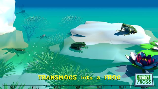 Image for the game Markerboard Jungle: Frogs