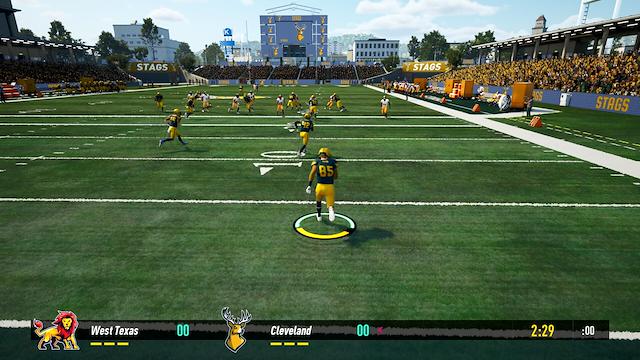 Image for the game Maximum Football