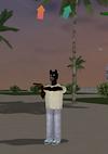 Cover image for the game Miami Traffic 3