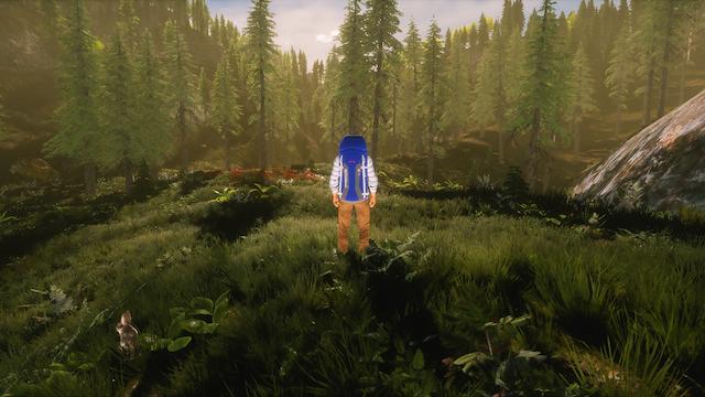 Image for the game Mike Goes on Hike