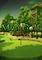 Cover image for the game Mini Golf Arena