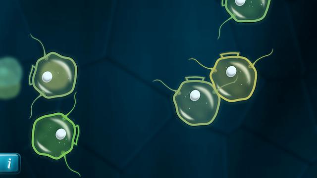 Image for the game Mitosis
